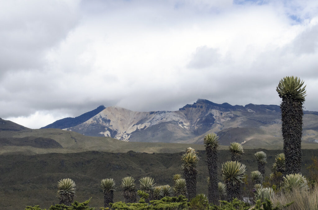 Montañas Quindio, trekking, paramillo del quindio, andes colombia, cordillera central, montañas colombia, paramos